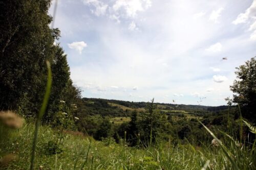 Padubysio pažintiniu taku (Padubysis, Raseinių raj.)