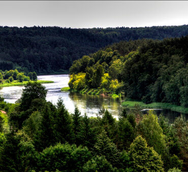 Neries vingiais (Vingio parkas, Vilnius)