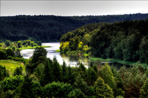 Neries vingiais (Vingio parkas, Vilnius)