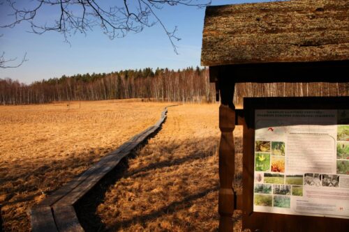 Ilgašilio pažintinis takas (Ilgašilis, Zarasų raj.)