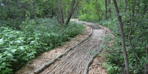 Eko basų kojų takas Biržuose (Biržai)