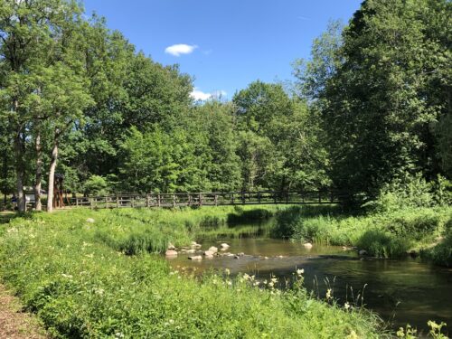 Akmenos pažintinis takas (Alijošiškės, Tauragės raj.)