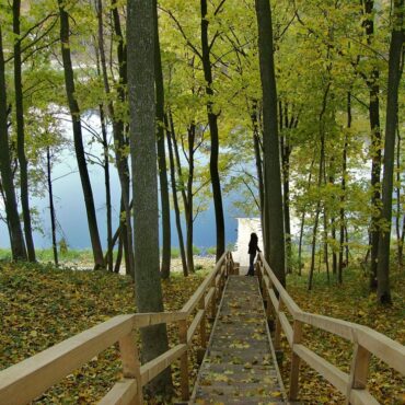 Kosmonautų keliu (Jonava)