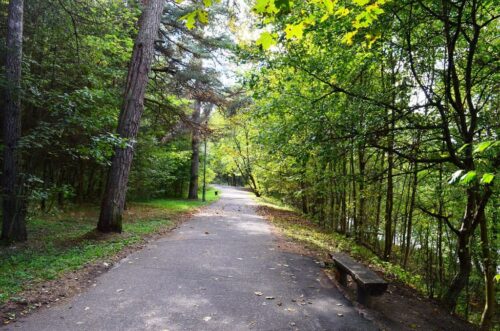 Neries vingiais (Vingio parkas, Vilnius)