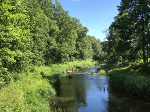 Akmenos pažintinis takas (Alijošiškės, Tauragės raj.)