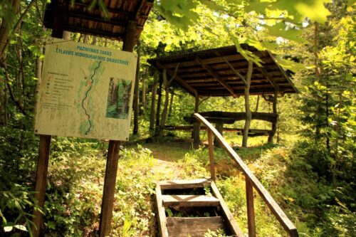 Lylavos pažintinis takas (Alijošiškės, Tauragės raj.)