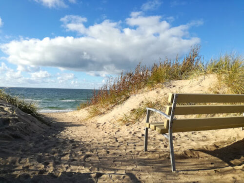 Baltijos pakrante (Klaipėdos raj., Palanga)