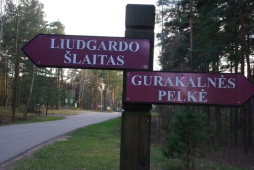 Plauginių miško pažintinis takas (Bedančiai, Raseinių raj.)