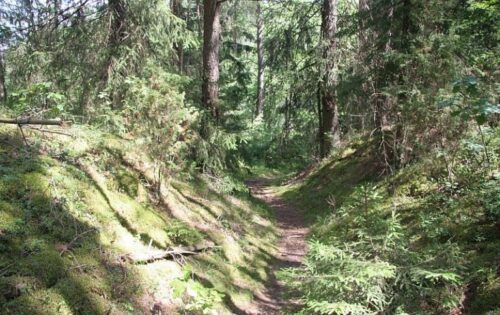 Zackagirio gamtiniu pažintiniu taku (Marcinkonys, Varėnos raj.)
