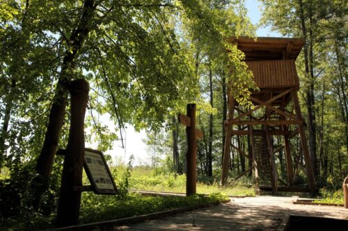 Salakų pažintinis takas (Salakai, Zarasų raj.)