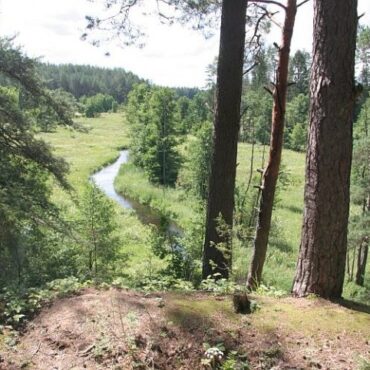 Zackagirio gamtiniu pažintiniu taku (Marcinkonys, Varėnos raj.)