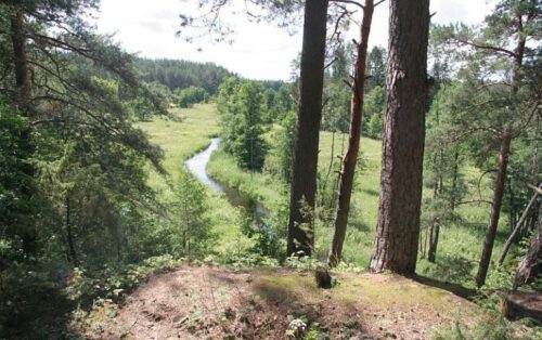 Zackagirio gamtiniu pažintiniu taku (Marcinkonys, Varėnos raj.)