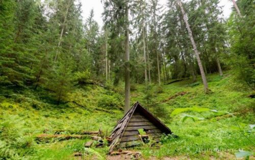 12 ežerų žygis “Protėvių keliais” Strėva