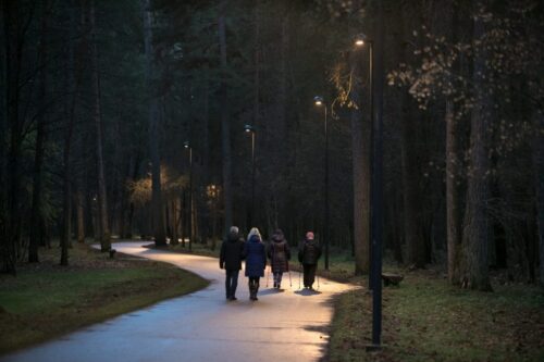 Neries vingiais (Vingio parkas, Vilnius)