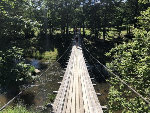 Akmenos pažintinis takas (Alijošiškės, Tauragės raj.)