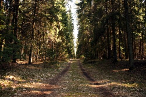 Jaskoniškių pažintinis takas (Dusetos, Zarasų raj.)
