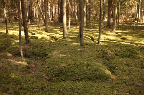 Jaskoniškių pažintinis takas (Dusetos, Zarasų raj.)