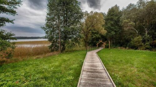Jaskoniškių pažintinis takas (Dusetos, Zarasų raj.)