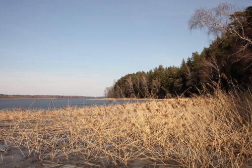 Jaskoniškių pažintinis takas (Dusetos, Zarasų raj.)