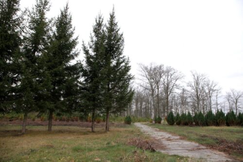 Kiemelių rekreacinių taku (Kiemeliai, Vilniaus raj.)