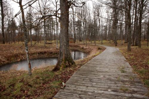 Kiemelių rekreacinių taku (Kiemeliai, Vilniaus raj.)