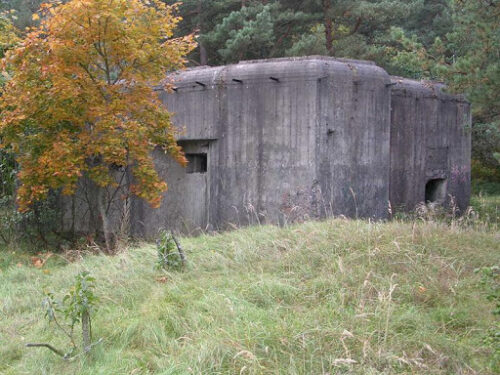 Molotovo gynybiniais takais (Ringiai, Tauragės raj.)