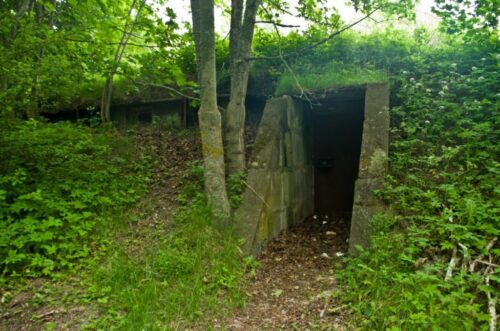 Molotovo gynybiniais takais (Ringiai, Tauragės raj.)