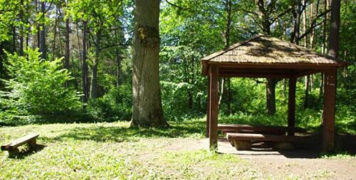 Karmazinų pažintiniais takais (Vilniaus raj., Bradeliškės)