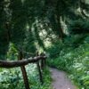 Velnio keliais 22 km (Aukštadvaris, Trakų raj.)