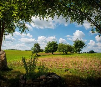 Kazokiškės. Tvarumo žygis (12 km)