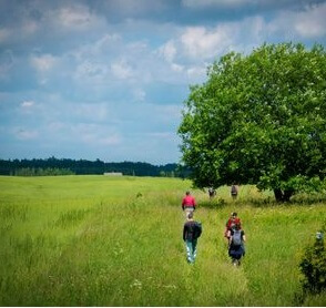 Elektrėnų takais (10km)