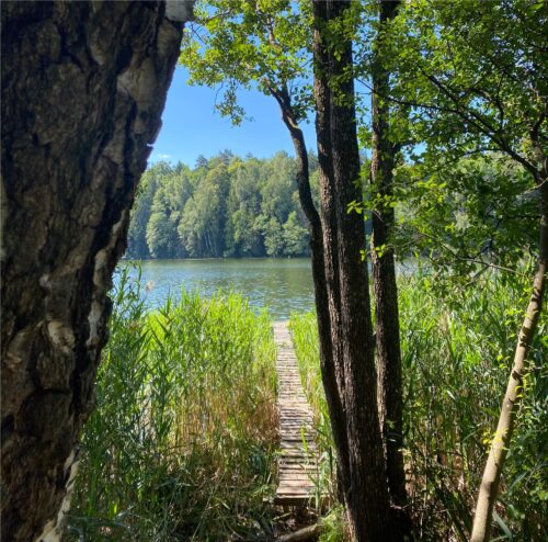 Spindžiaus paslapties keliu (Strėva, Trakų raj.)