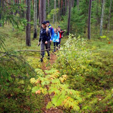 Velniabliūdžio pažintinis takas (Prienai)