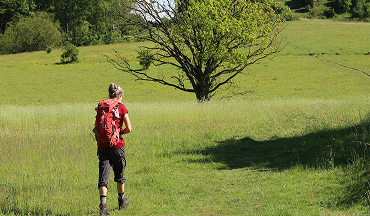 Labanoro žygis (10 km)